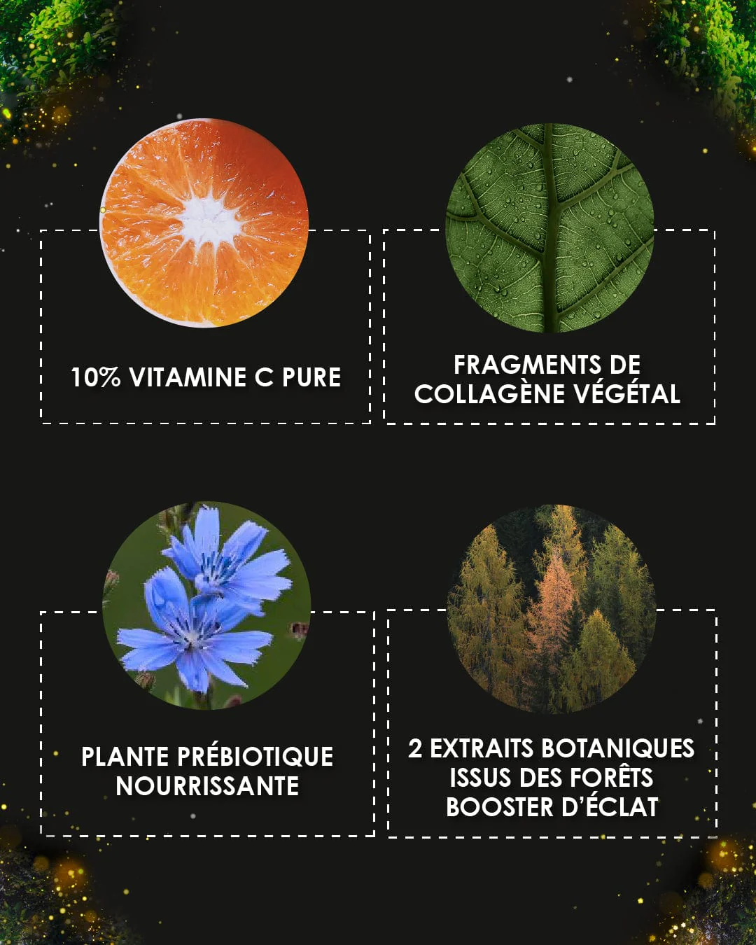[ L'APPEL de la FORÊT ] LA POUDRE MAGIQUE - Image 5