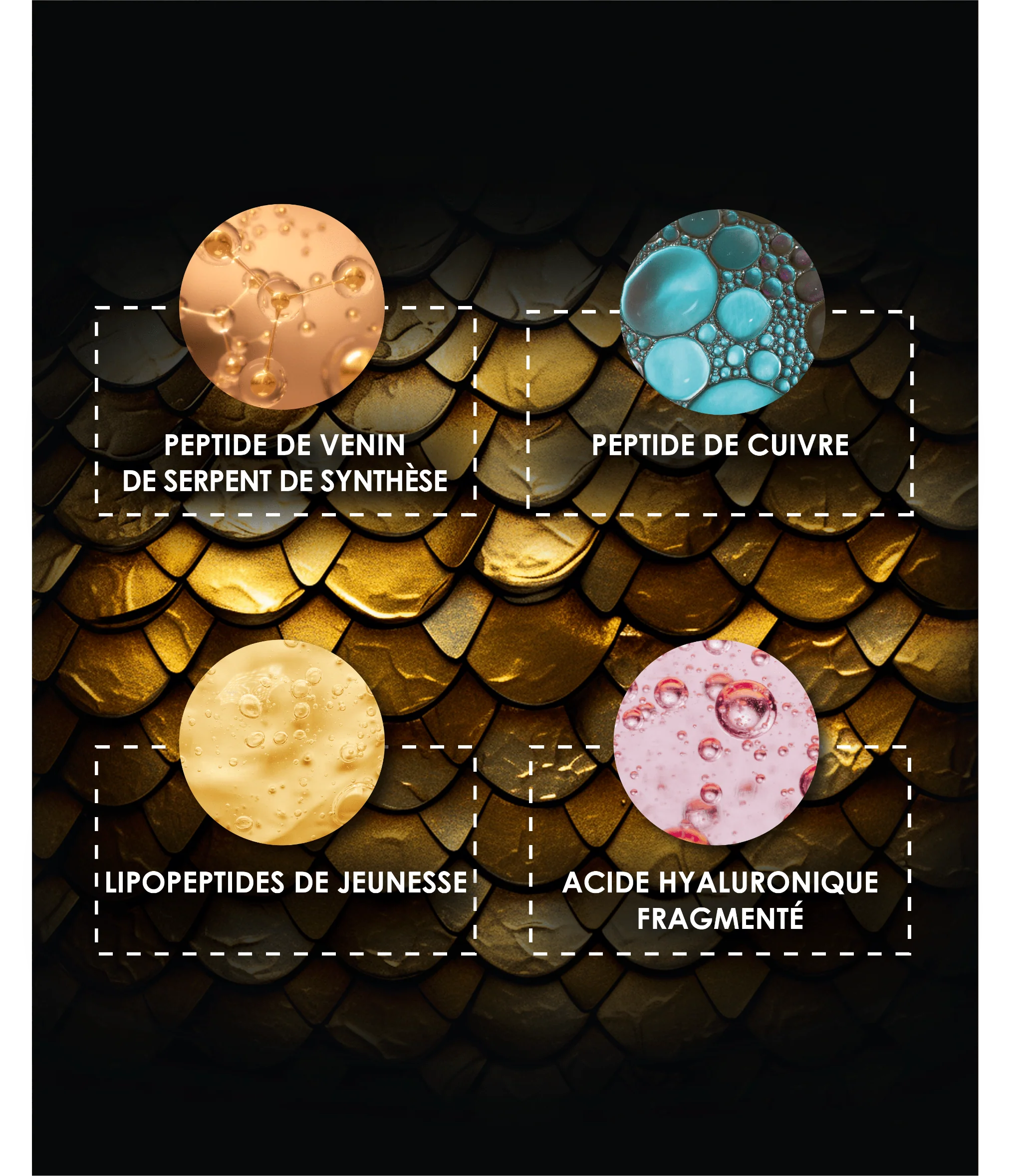 Coffret Mystérieuses Mille et Une Nuits - Crème de nuit anti-âge global - Image 6