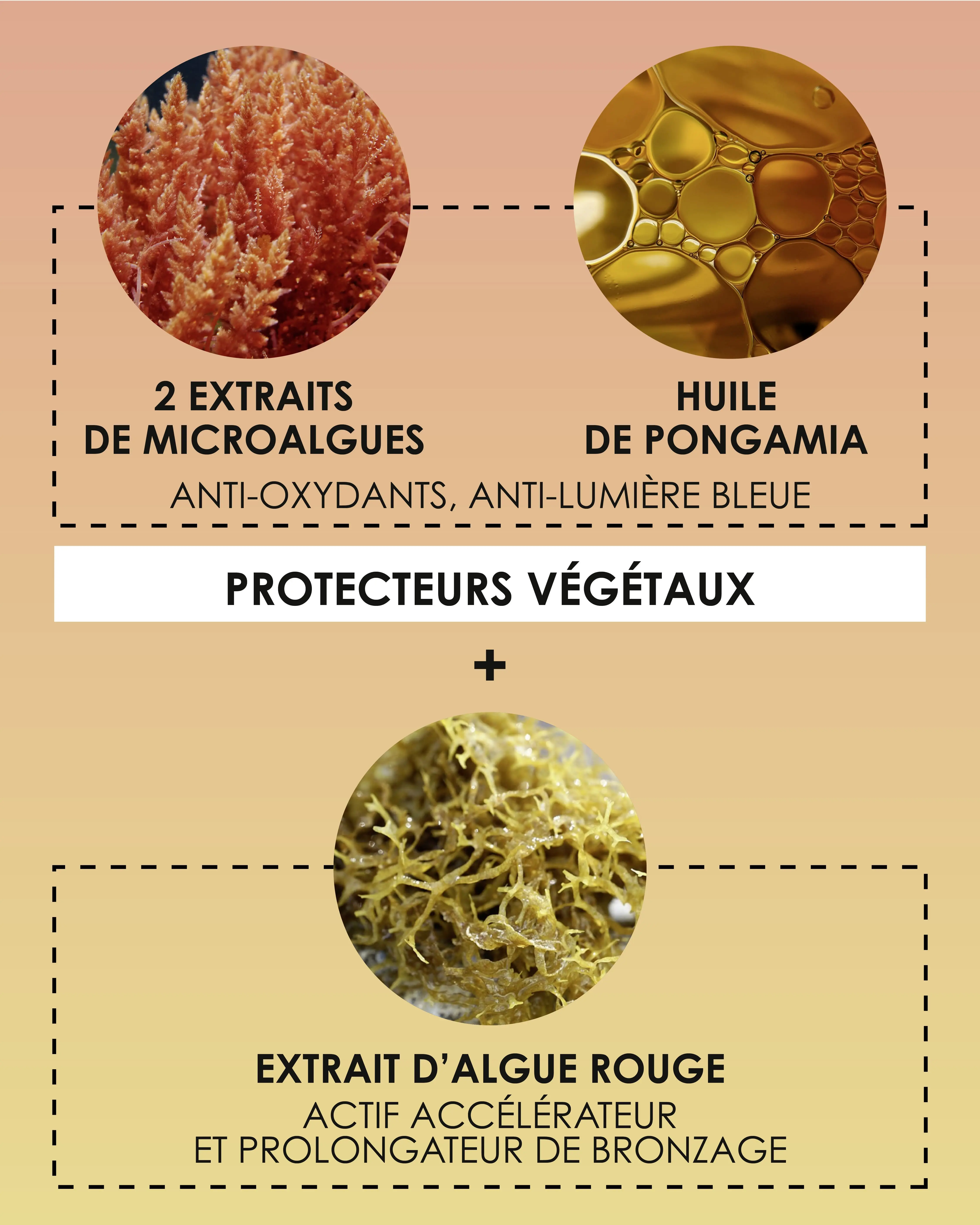 Eau Protectrice Métamorphosante SPF30 - Anti-âge & anti-taches - Image 4